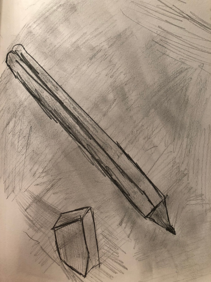 pencil sketch drawn by son